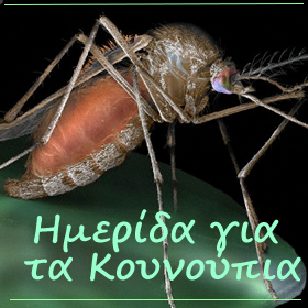 Ημερίδα για τα κουνούπια
